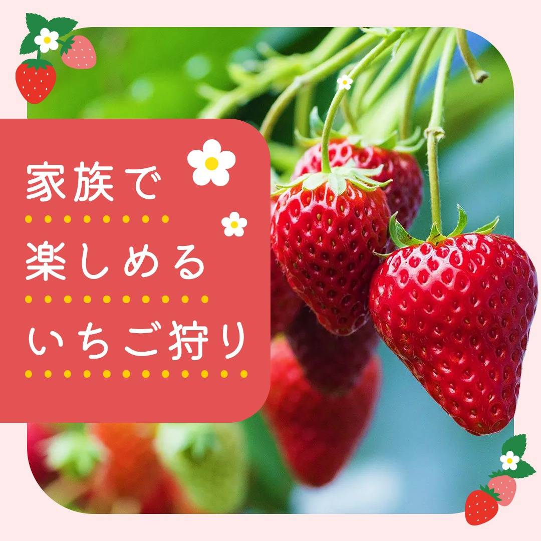 popup_banner